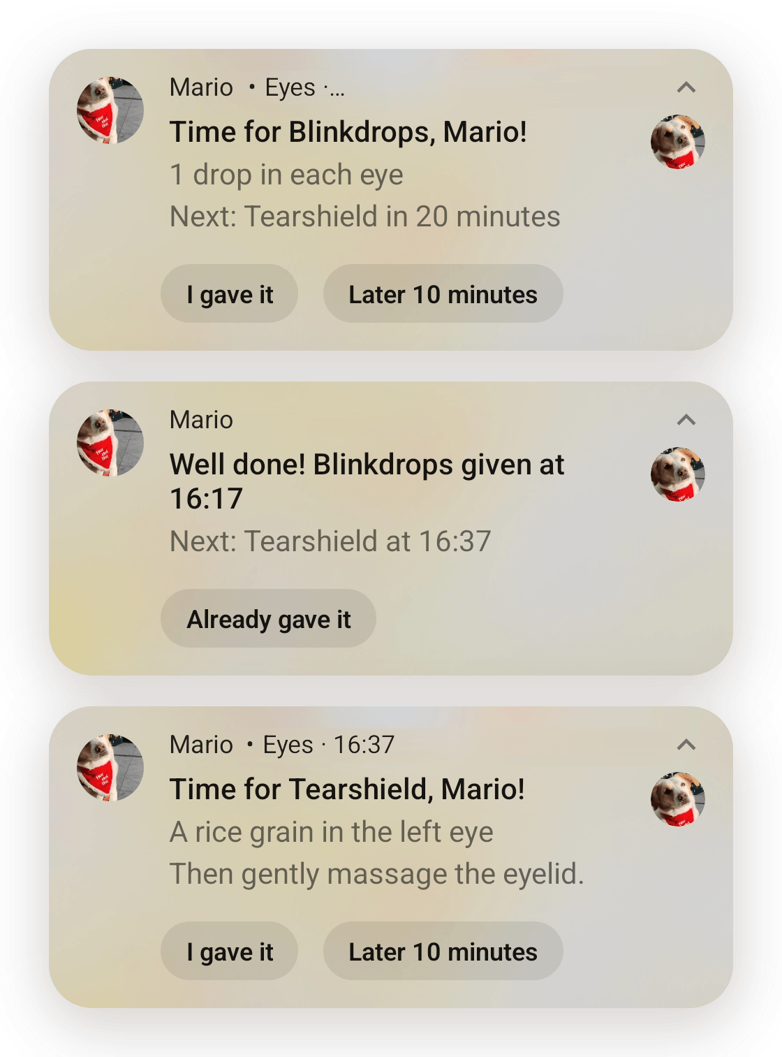 Three notifications, one after the other: "Time for Blinkdrops, Mario!" with the buttons "I gave it" and "Later 10 minutes", then "Well done! Blinkdrops given at 16:17. Next: Tearshield at 16:37", then "Time for Tearshield, Mario!" at 16:37.