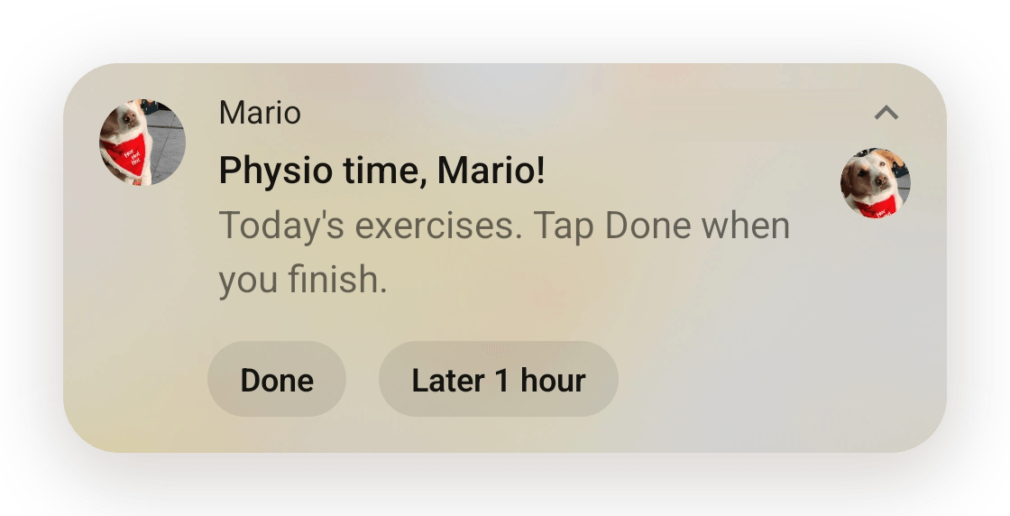 The physio reminder: "Physio time, Mario! Today's exercises. Tap Done when you finish." with the buttons "Done" and "Later 1 hour".